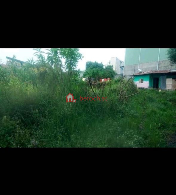 53.Summit Figa 378 m² Open Space𞥑Land