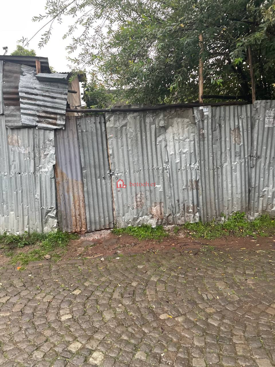 49.Alem Bank Tropical 136 m² Open Space|land