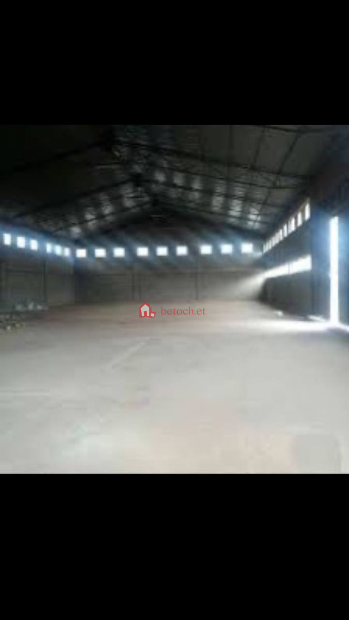 125.Adisu gebeya 1500 m² warehouse & Land