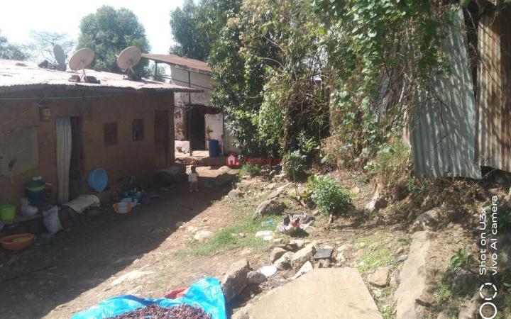 36.Hana mariam 500 m² Open plot land ( for Apartment or residence )