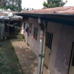 13.Gurd Shola Salite mihiret 150 m2 old House