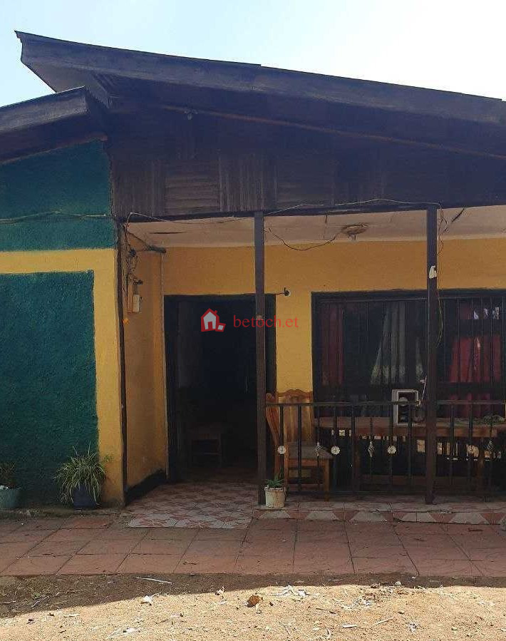 11.Shiro Meda 500 m2 Old Residence House