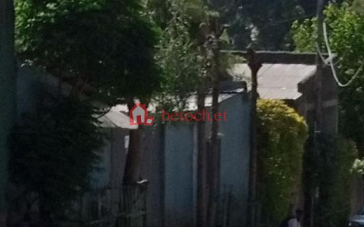 1.Bole Atlas 228 m2 Ground an old Villa House