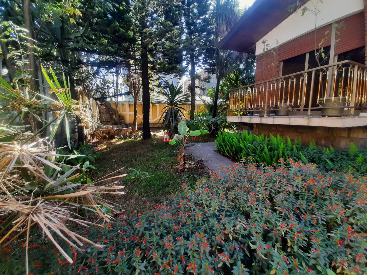 3.House for rent Bole 19 Qebele 500 m2 Ground residence Villa