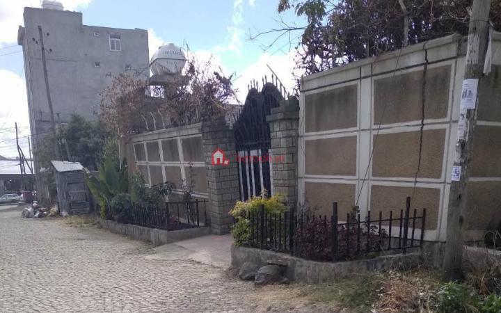 59.Goro 250m2 an old Ground residence House