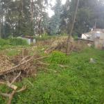 61.	Gulele 1775m2 Extra included space 1225m2 an old Ground residence House (Apartment,School,moll & Others investment)