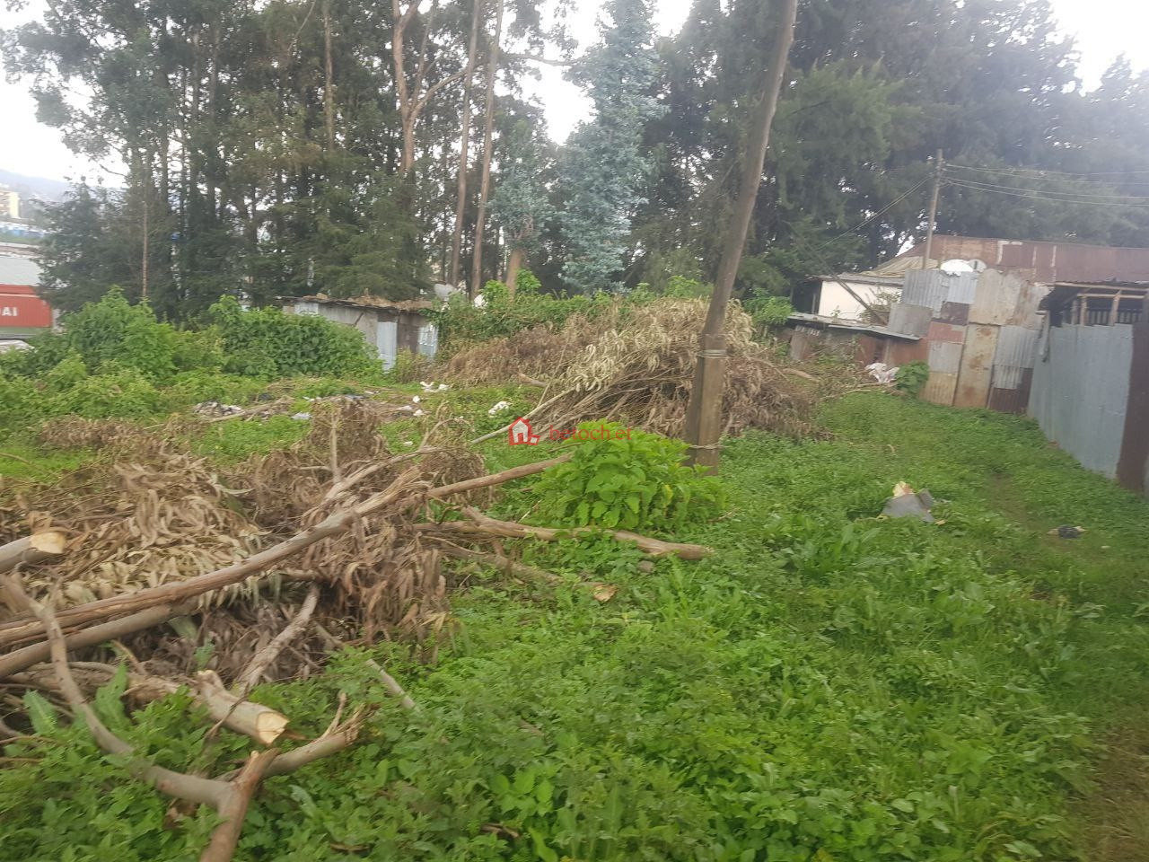 61.	Gulele 1775m2 Extra included space 1225m2 an old Ground residence House (Apartment,School,moll & Others investment)