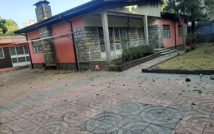 1.Bole demibel 550 m² Residence Villa House (For Apartment,School, & Others investment)