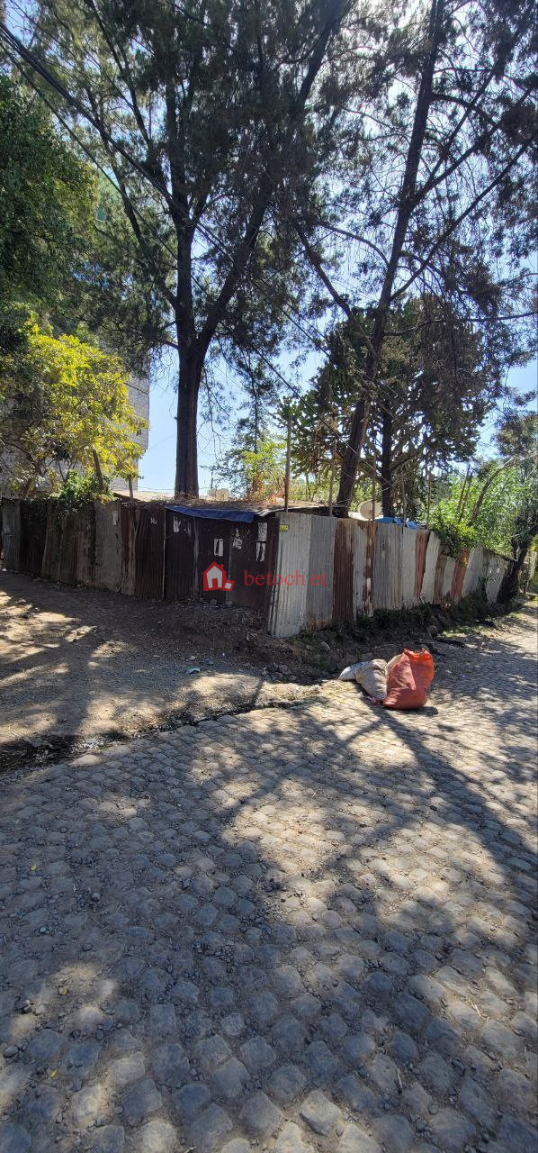 69.Kazanichiz-Aware 420 m² an old residence House (For Apartment,School,moll & Others investment)