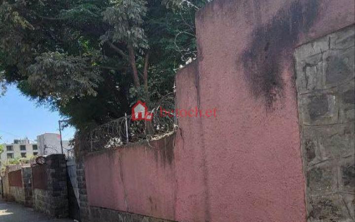 71.Olympia Demibel 305 m² an old residence House (For Apartment,moll & Others investment)