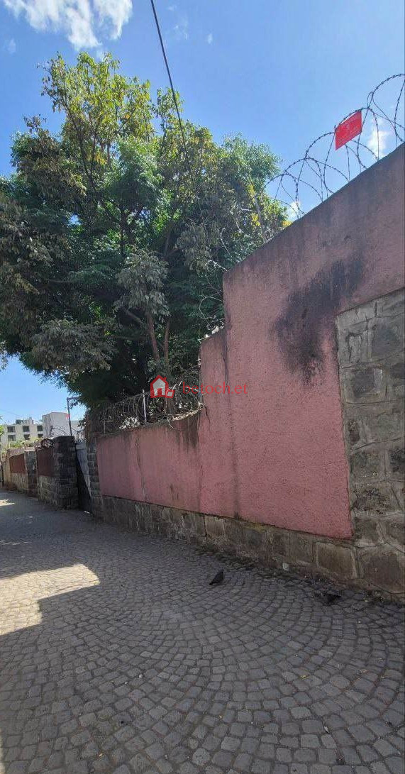 71.Olympia Demibel 305 m² an old residence House (For Apartment,moll & Others investment)