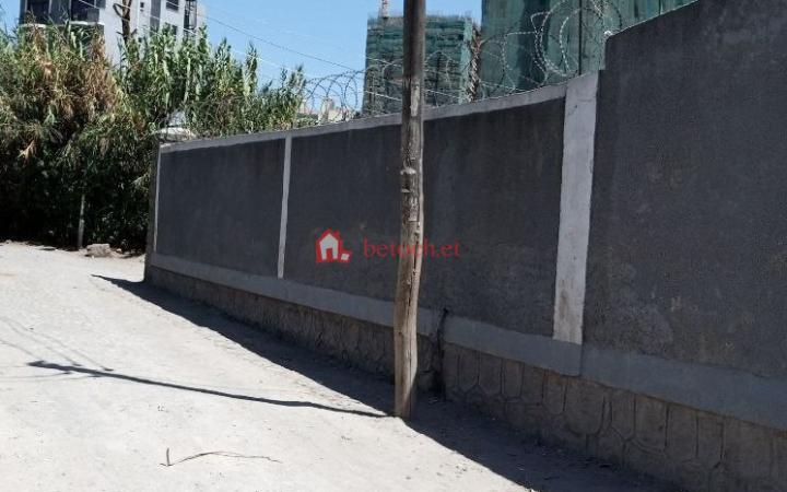62.Mesiqele flower 190 m²Ground Residence Villa House
