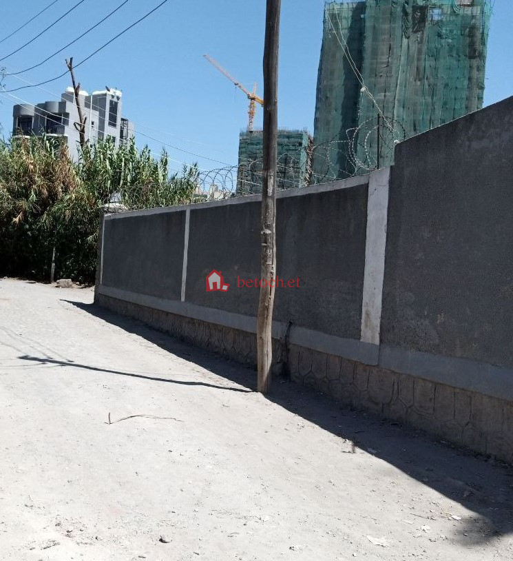 62.Mesiqele flower 190 m²Ground Residence Villa House