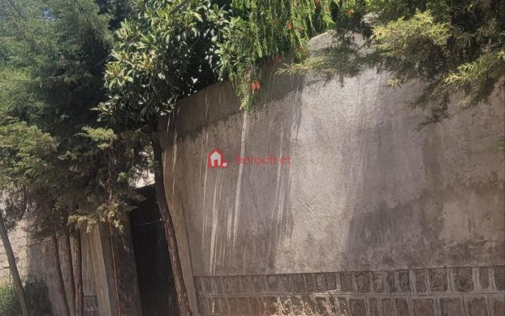 76.Megenagna 460 m² an old Ground residence House (For Apartment,& Others investment)