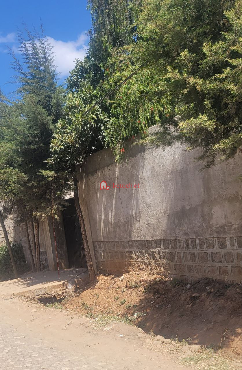 76.Megenagna 460 m² an old Ground residence House (For Apartment,& Others investment)