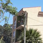111.6 killo Hamle 19 menafesha 250 m² G⁺² Resident Villa House Building