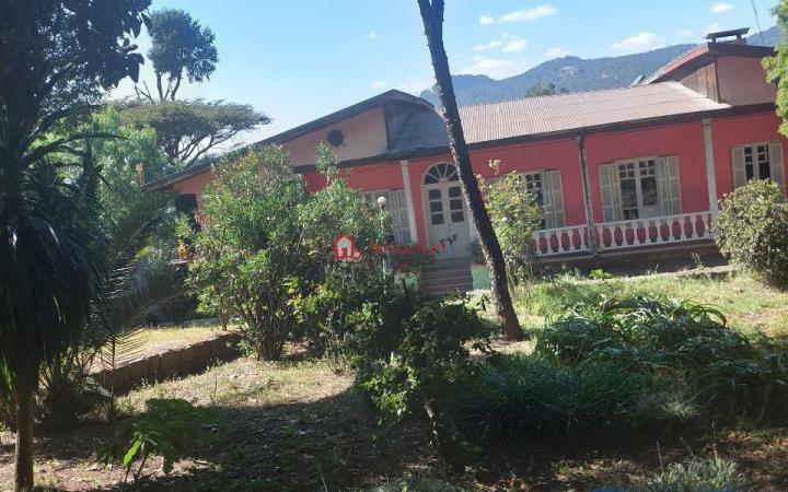79.Adisu-gebeya 3500 m² an old residence House (For Apartment,School or Others investment)