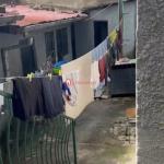 81.Saris Adeyi Ababa 240 m² an old residence House