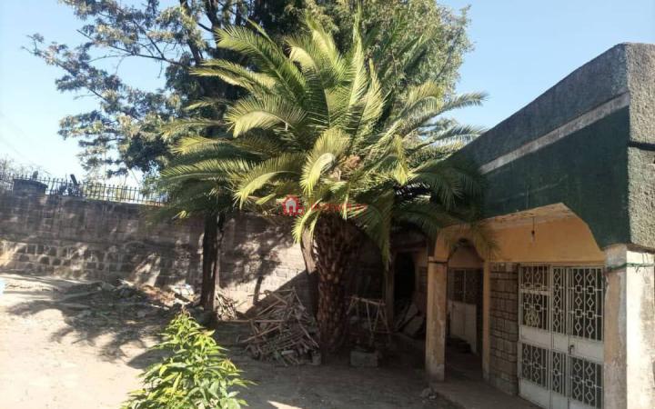 69.Megenagna-Amiche 500 m² Residence Villa House