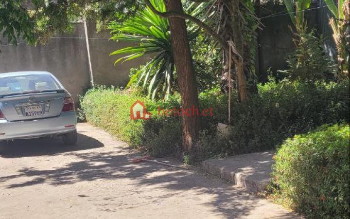 70.Bole Homes 512 m² Residence Villa House