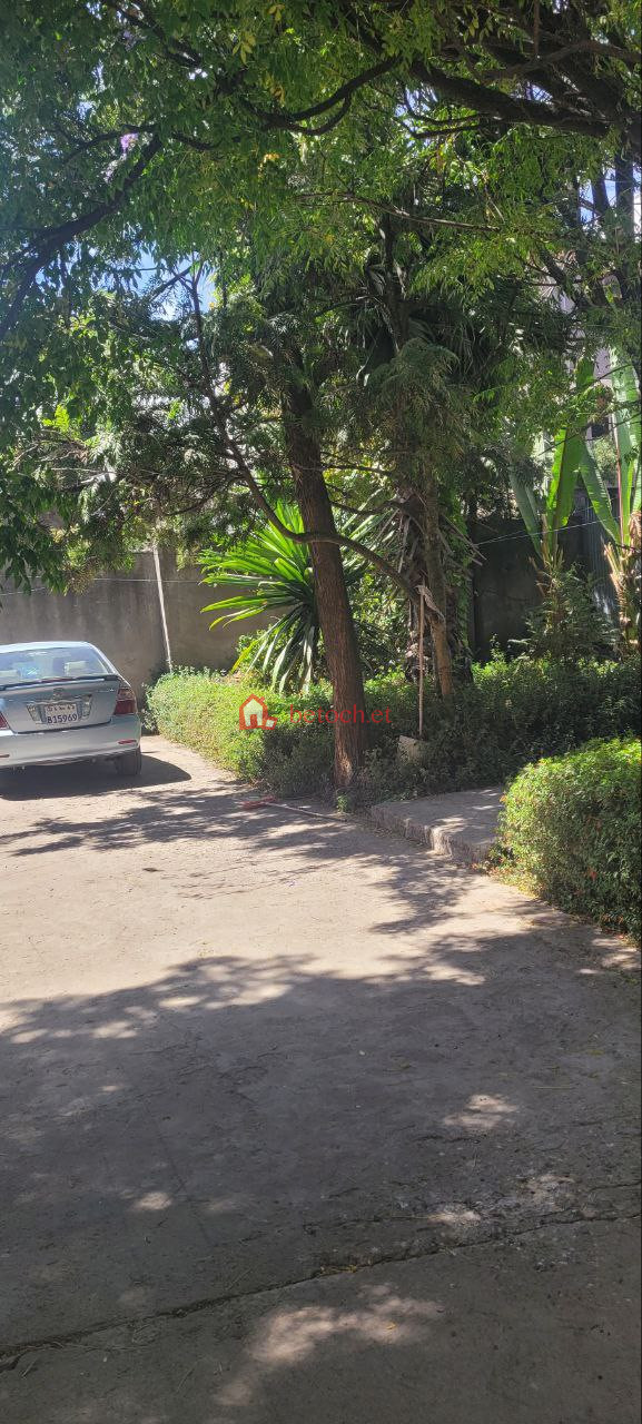 70.Bole Homes 512 m² Residence Villa House