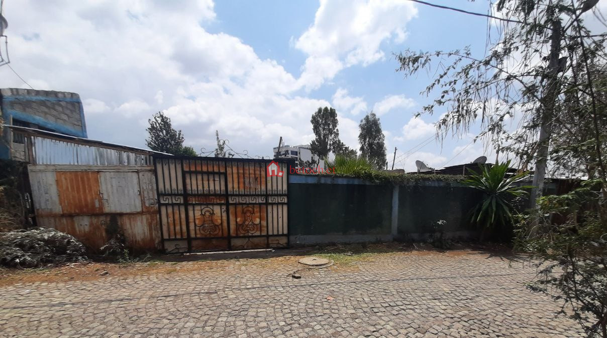 91.Embassy Old Bulgaria 320 m² an old Ground residence House (Apartment or other Investment )