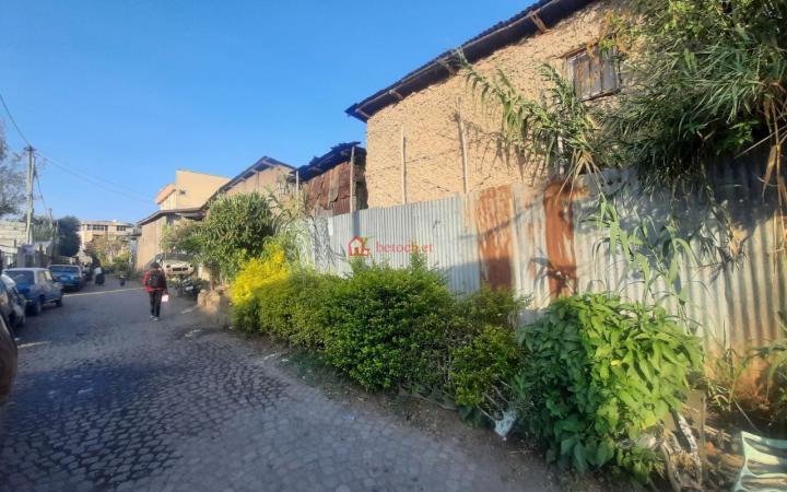 96.Bole Wongelawit 500 m² (Extra 180 m² Included ) old residence or Land House (For Apartment or Residence house)