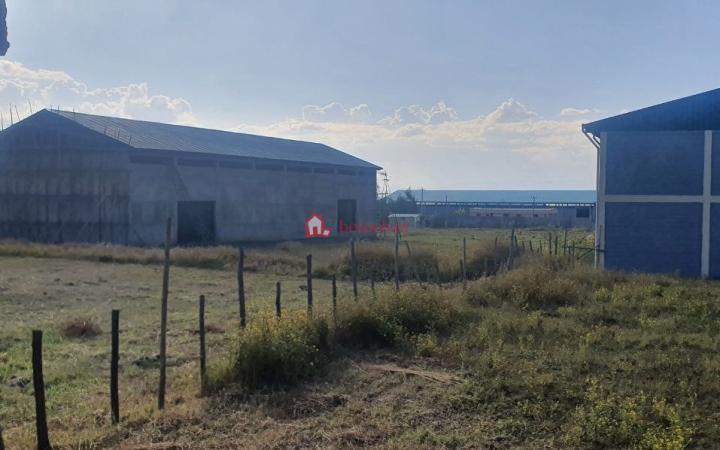 2.Gojam Mota 10000 m² Edible oil factory 126 quintal process