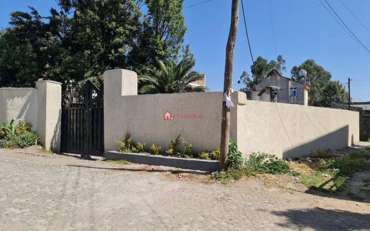 99.Megenagna AMCE 500 m² an old L-shape House (For residence or Apartment construction)