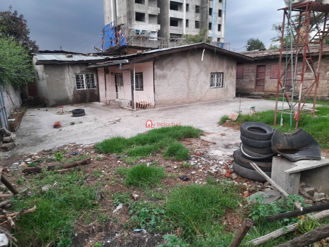 102.mesiqel-flower 500 m² an old House (For residence, School or Apartment construction)