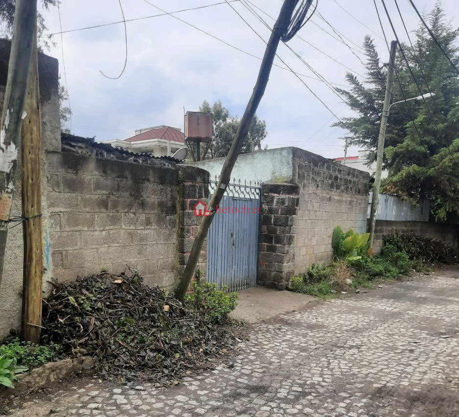 32.Beqilo-bet Global hotel 374 m² Open plot land ( for Real state, Hotel ,School ,mole or Other investment ready )