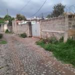 102.mesiqel-flower-beqilo-bet 500 m² an old House (For residence, School or Apartment construction)