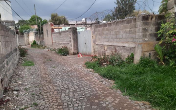 102.mesiqel-flower-beqilo-bet 500 m² an old House (For residence, School or Apartment construction)