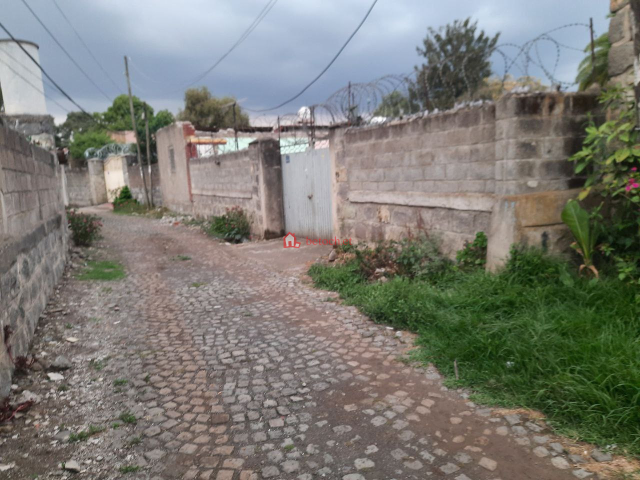 102.mesiqel-flower-beqilo-bet 500 m² an old House (For residence, School or Apartment construction)