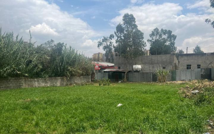 33.Saris-abo mebirat 1630 m² Open plot land ( for Real state, Hotel ,School ,mole or Other investment ready )