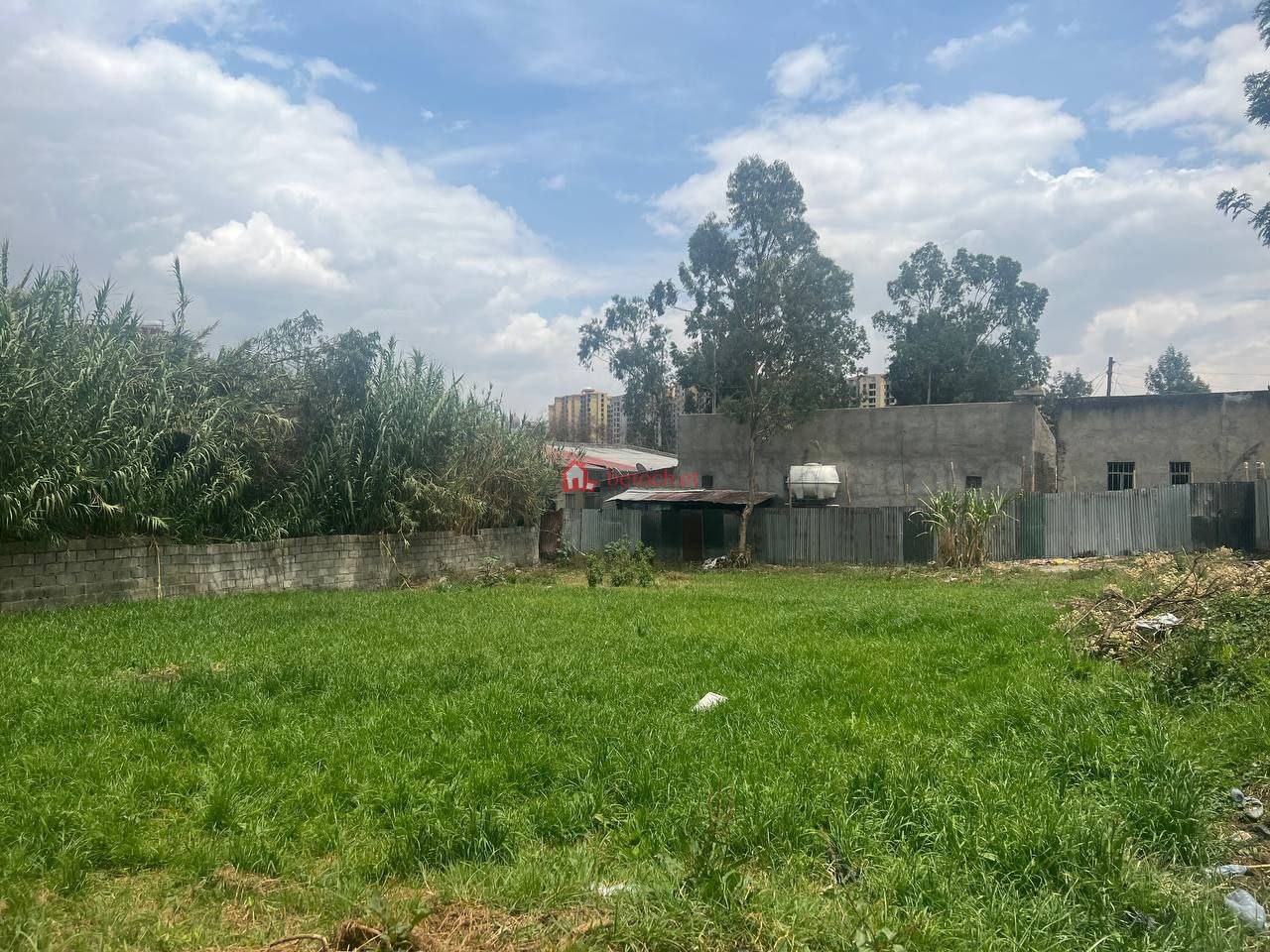 33.Saris-abo mebirat 1630 m² Open plot land ( for Real state, Hotel ,School ,mole or Other investment ready )