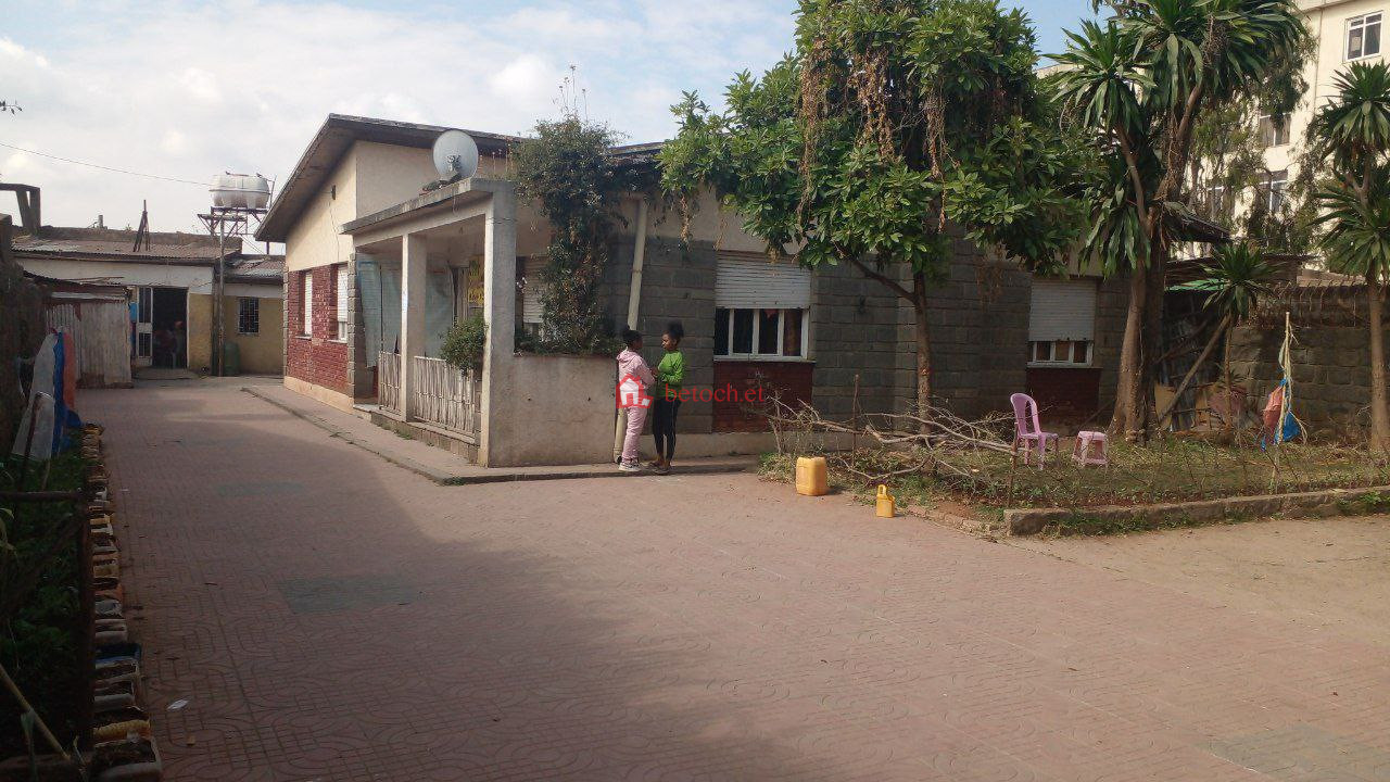 1.Bole demibel 650 m² Residence Villa House (For Apartment ,School, & Others investment)