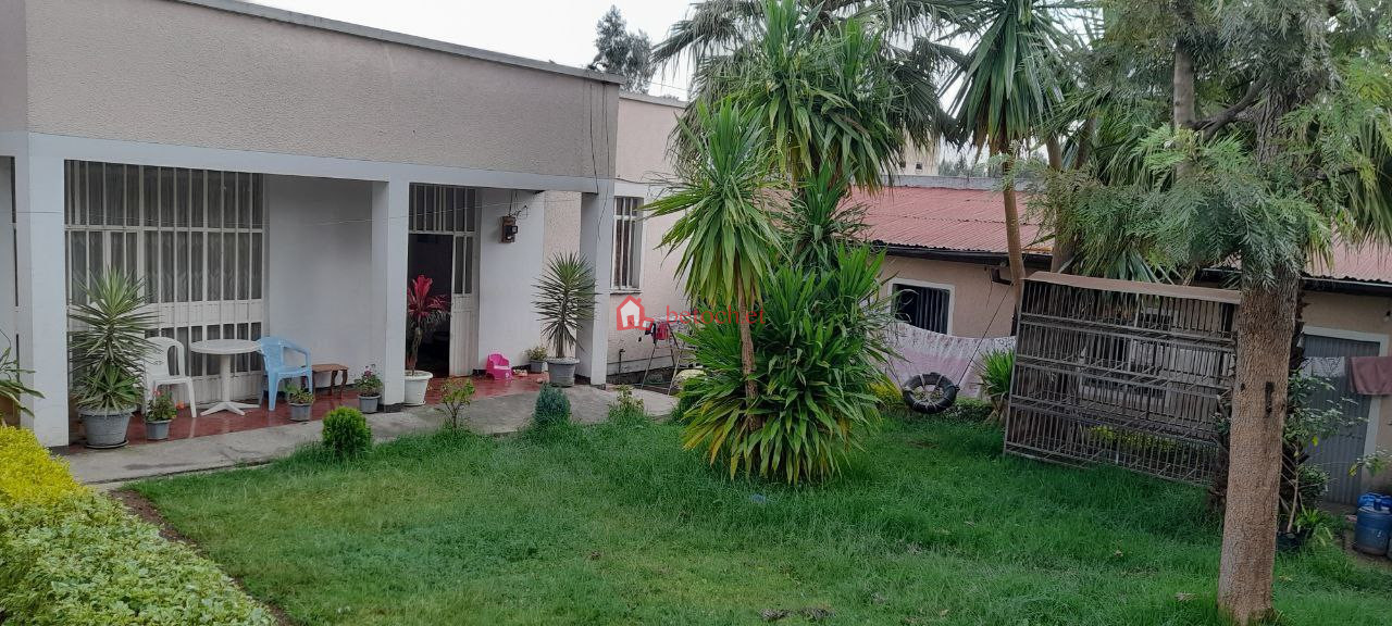 103.Alem bank bethel 391 m² (Extra 66 m² tolal 457 ) Residence service Villa building