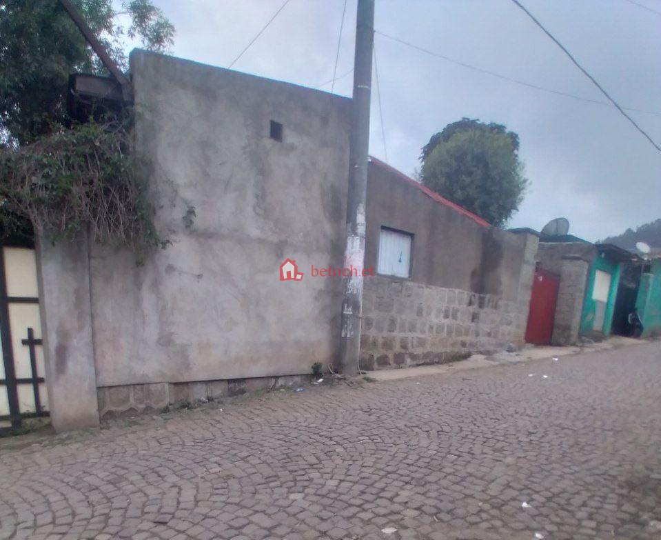 Sholla 208 m² an old House (For residence or Apartment)