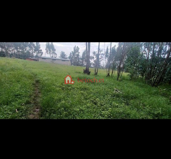 51.Yeka Kara 11500 m² Open Space|land