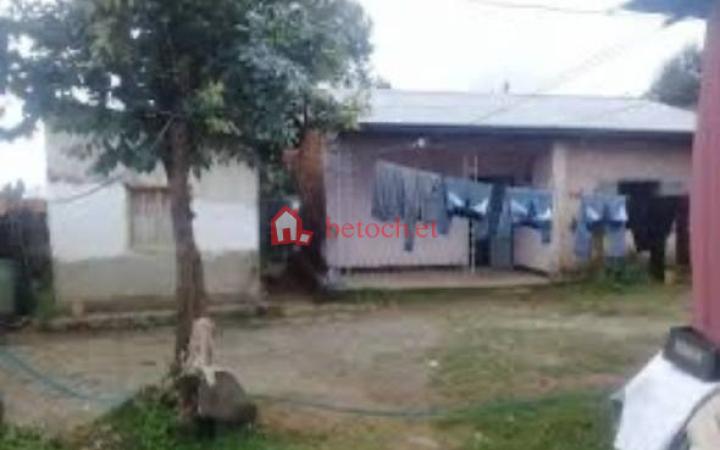 Tafo RopaK Gebreal 250 m² Detached house