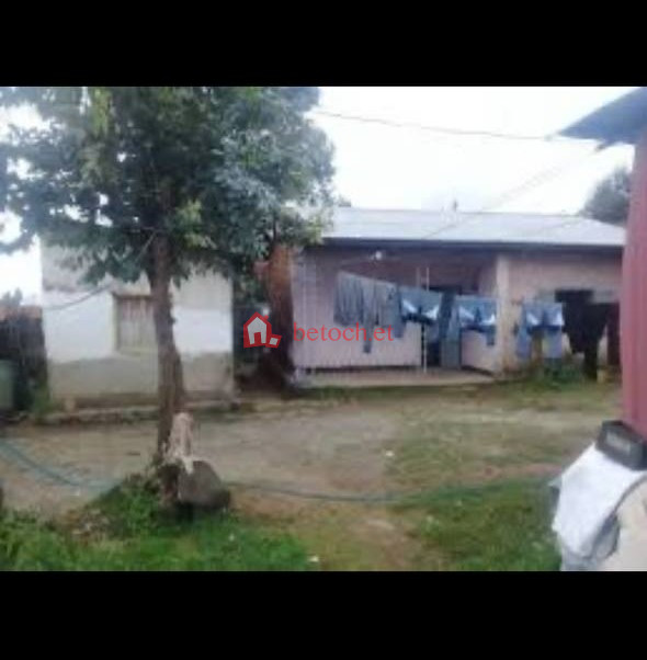 Tafo RopaK Gebreal 250 m² Detached house