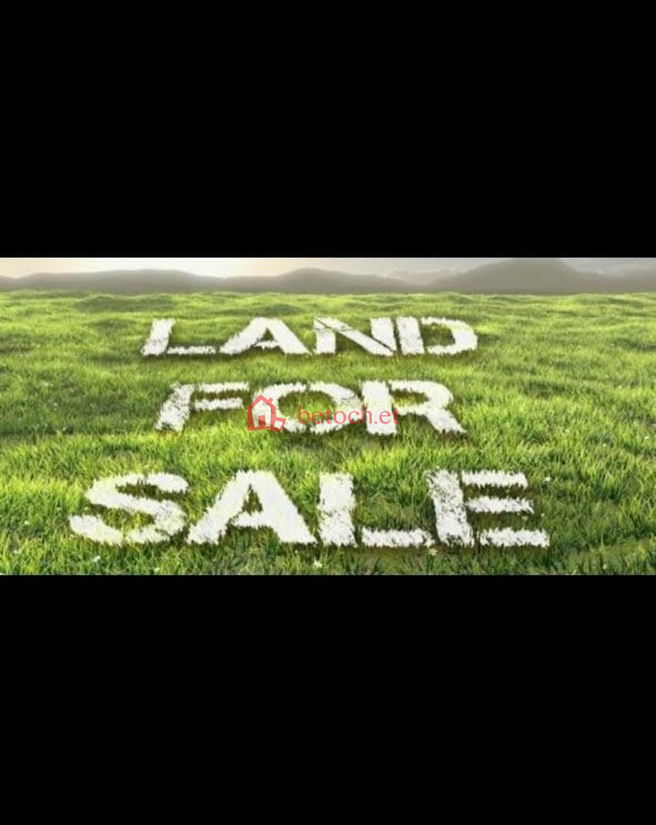 26.Gerije 15000 m² Multi purposes plot open space