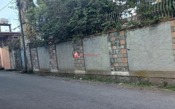 Gora 41269 m2 Real estate Development Land