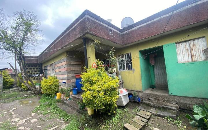 176. Lancha Teshale garage 440 +60=500 m² Res. Old Villa