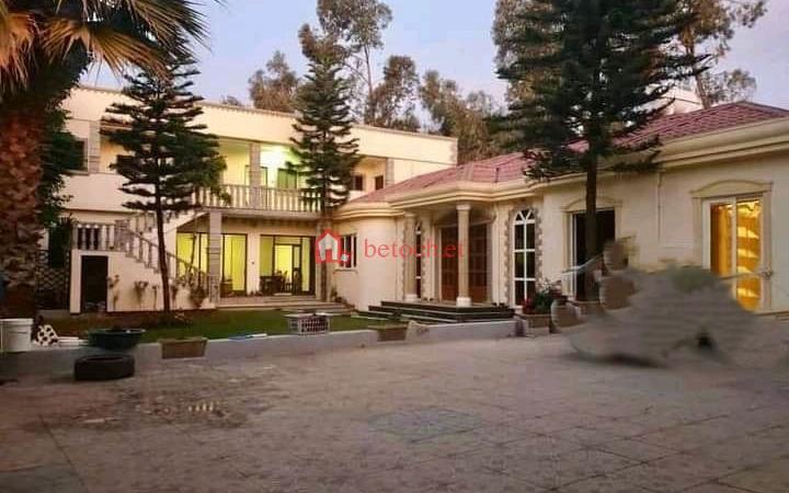 35.Summit square 650 m² Residence Ground Villa house
