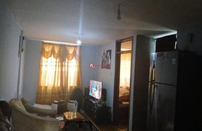 Saris Abo 20*80 Condominium 37 m²