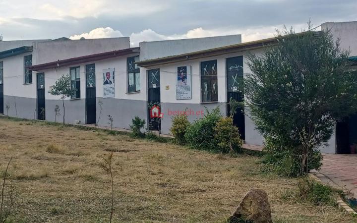 Bole 2888 m2 School Building