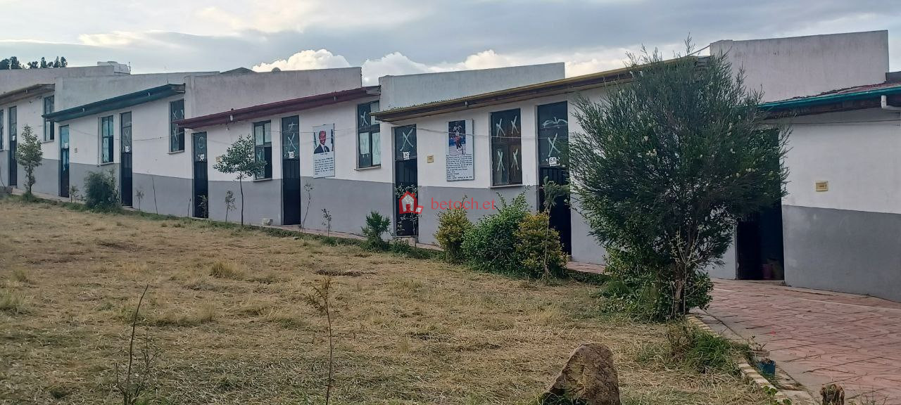 Bole 2888 m2 School Building