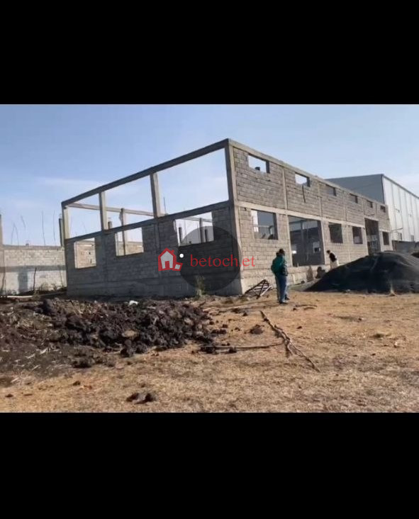 15.Debire birihan 5000 M² skeleton completed Were House & Store (Under Construction )